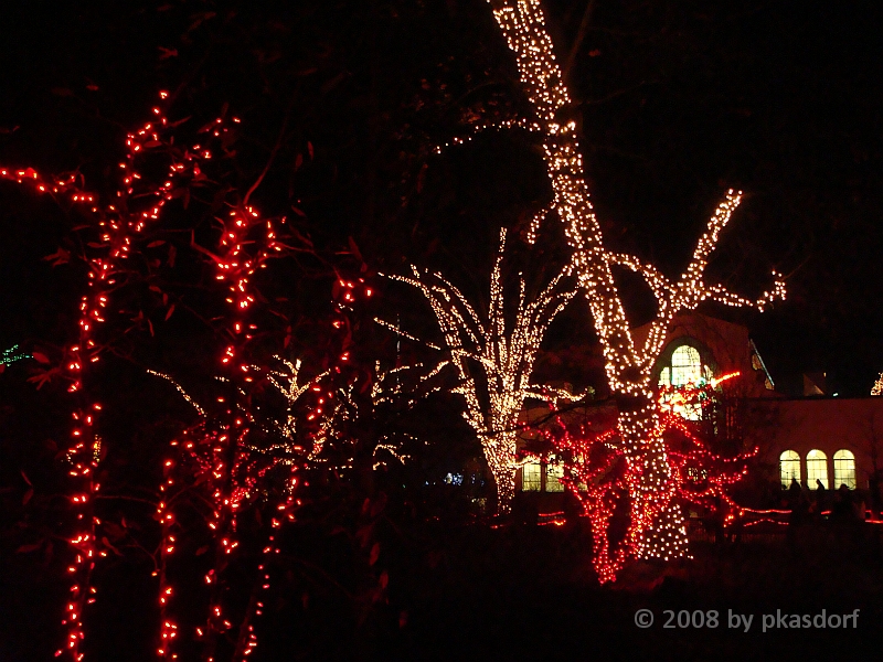 033 Toledo Zoo Light Show [2008 Dec 27].JPG - Scenes from the Toledo Zoo Light Show.
